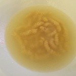 ペレグリーノ - 軍鶏のスープ 
      アップ