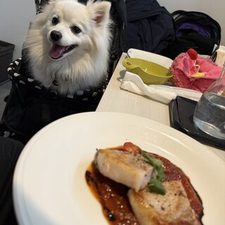 スイスレストラン セントバーナード_0