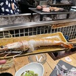 炭劇場 徳永座 - 特大エビ