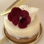 フランス菓子 aise - タルトバニーユ