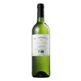 フランス食堂 シェ・モア - 弘前（フレンチ）の写真