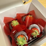 オードリー 東京駅グランスタ店 - 