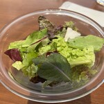 オリーブの木 - 