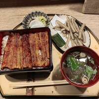 うなぎ 目白ぞろ芽 - 