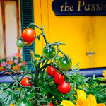 Osteria Bar the passion - 