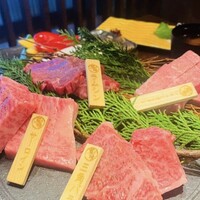 飛騨牛一頭家 馬喰一代 銀座 - 