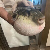 ふぐ御料理處 でん - 
