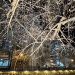 サイアムガーデン - 