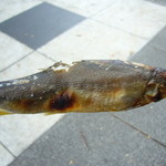 馬事公苑 売店 - 持っただけで、香ばしい（2009 区民まつり）