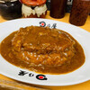 日乃屋カレー なんばウォーク店