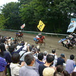 馬事公苑 売店 - 旗のなびく音が豪快です。　（2012 愛馬の日）