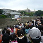 馬事公苑 売店 - 意外とハズしちゃうものですね、それほど難しいってことか。　（2012 愛馬の日）