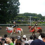 馬事公苑 売店 - カッコいいですねぇ　（2012 愛馬の日）