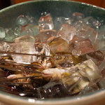 銀座おかもと - 琵琶湖の若鮎（氷で〆ています） 2014.6.1x