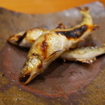 銀座おかもと - 琵琶湖の若鮎 2014.6.1x