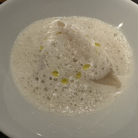 Potoro - 