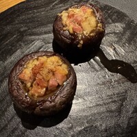 Potoro - 