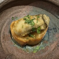 Potoro - 