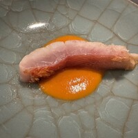 Potoro - 
