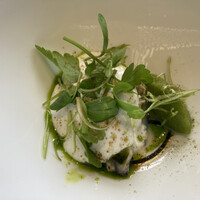 クイントカント - 