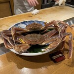 おかもと - 越前蟹