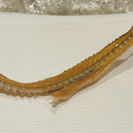 ぬま田 - キス骨煎餅