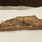 ぬま田 - 北海道　大浦ごぼう