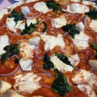 La Terrazza SABATINI - 