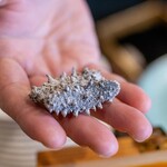 中華ダイニング 一途一心 - 2025.1 干し海鼠