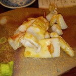 榎本哲也 - ヤリイカ