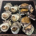 シーアイガ海月 - 