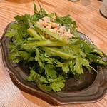 サガノサカバ - 