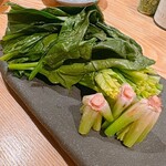 サガノサカバ - 