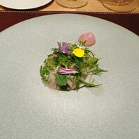 ARMONICO - 