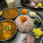 Curry Spice Gelateria KALPASI - 