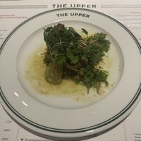 THE UPPER - 