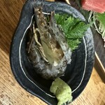 こだわり鮮魚とおでんと炭火焼 鱗 - 