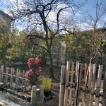 手打そば のりくら - 