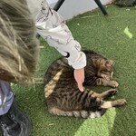 Prost Sausage & Kunsei Bar Okinawa Umikajiterasu Ten - 