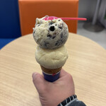 Thirty-One Ice Cream Ion Saku Sakudairaeki Ten