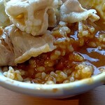 しゃぶ葉 - 豚肉カレーにしました！