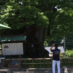 ありなし珈琲 - 