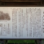 ありなし珈琲 - 