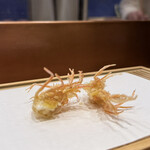 天婦羅 みやしろ - 