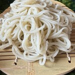 きぬたや - 椎葉在来／手挽き／40M