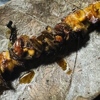 うなぎ割烹 大江戸 - 