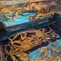 かに道楽 梅田店 - 