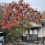 粉家 - ハゼノキ？