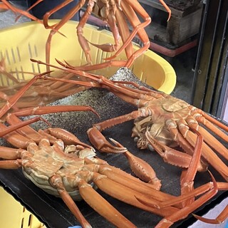 新湊漁港 かに小屋_1