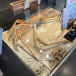 沼津魚市場食堂 - 